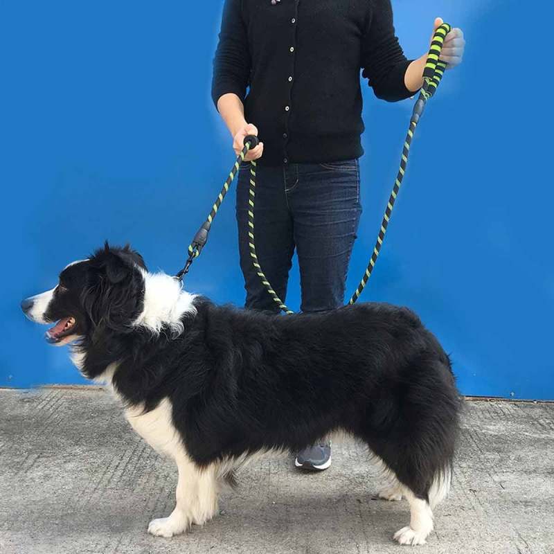 Jual H Ikea Double Handled Round Rope Multi Color Reflective Dog Red Murah Agustus 2020 Blibli Com