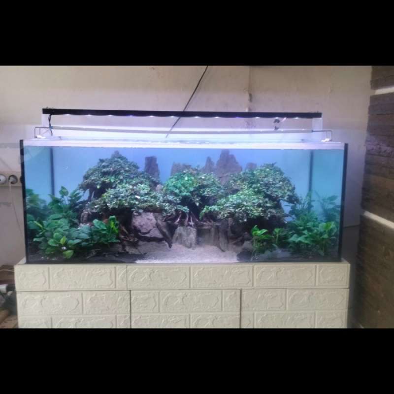 aquascape 1 meter