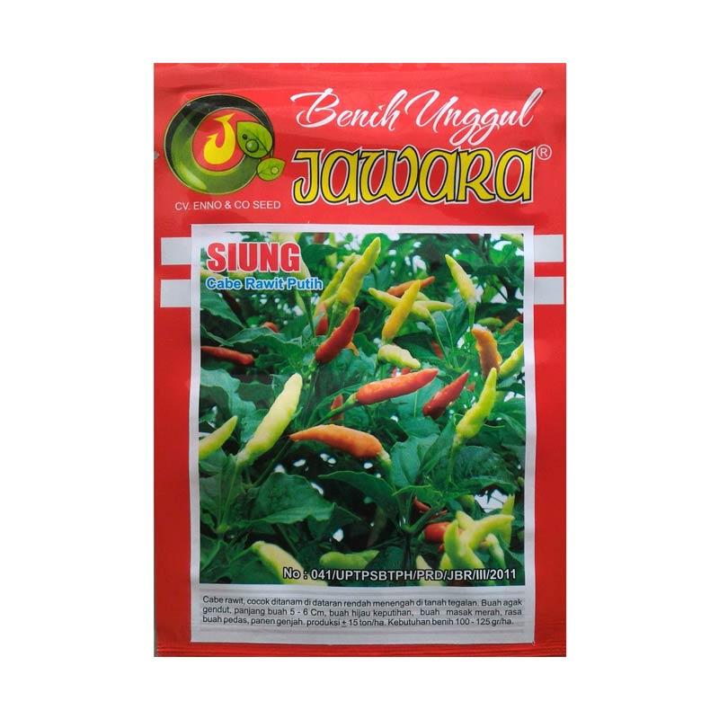 Jual Jawara Siung Benih Cabe Rawit Putih 10 G Murah Maret 2020