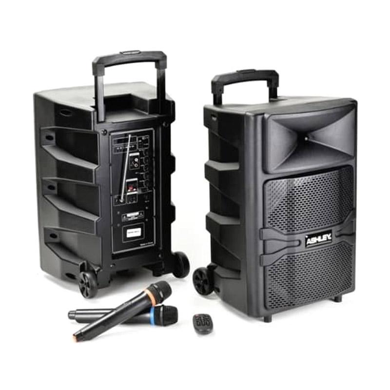 Speaker portable 12 inch sales