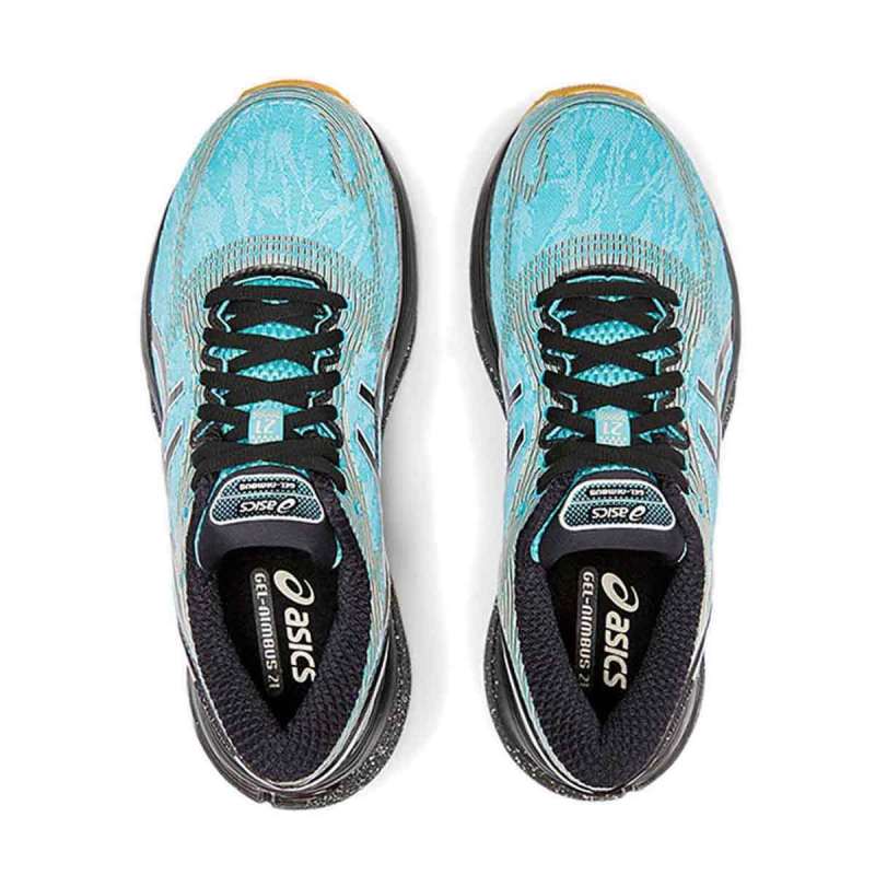 nimbus winterized