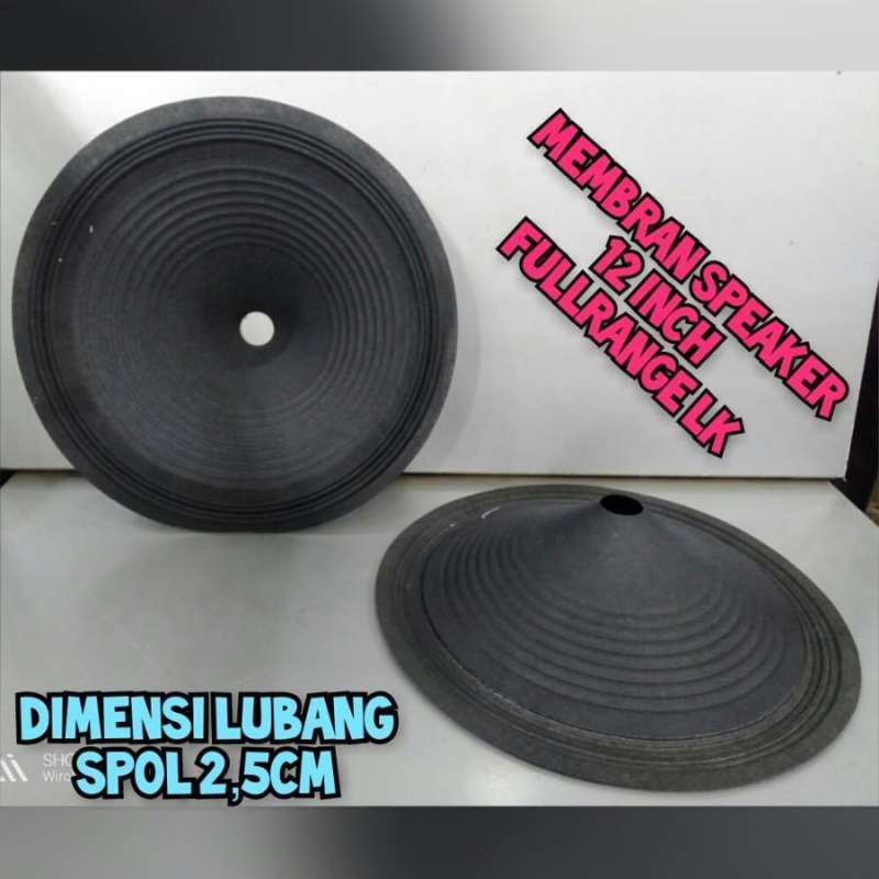 A plus speaker hotsell 12 inch