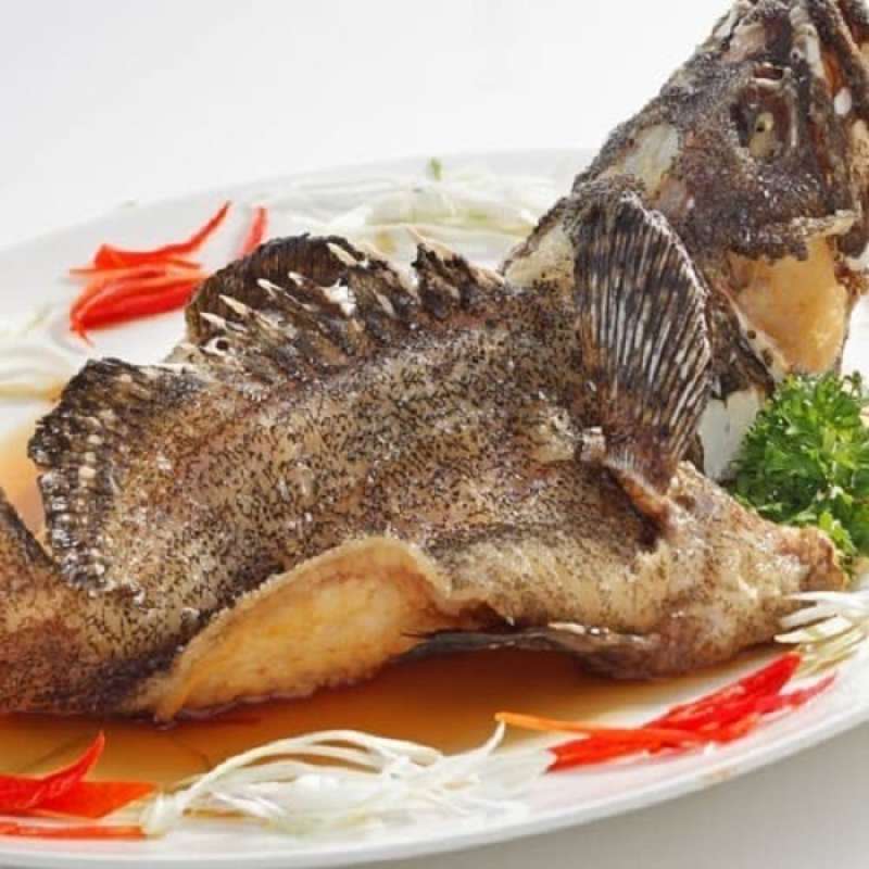 Jual Jing Paradise Ikan Kerapu Goreng Kecap Supreme Online April 2021 Blibli
