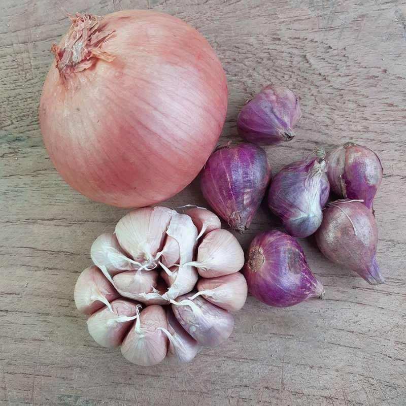 Jual Bawang Bawang Merah Bawang Putih Bawang Bombay Bawang Paket Di Seller Warung Ikan Asin Mas Rido Kota Jakarta Utara Dki Jakarta Blibli