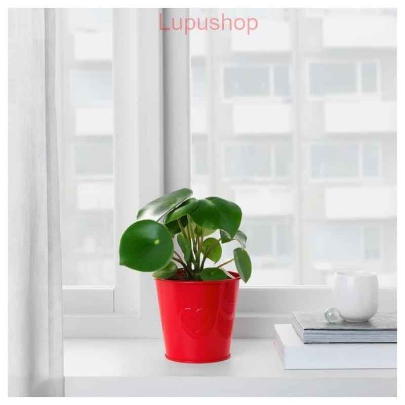 Jual Ikea Vinterfest Pot Bunga Merah Diameter 10cm Online September 2020 Blibli Com