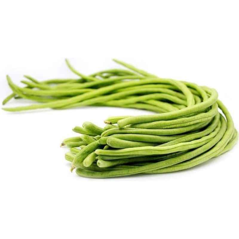 Jual Sayur Kacang Panjang 500gr Di Seller Afcbandung Kota Bandung Jawa Barat Blibli