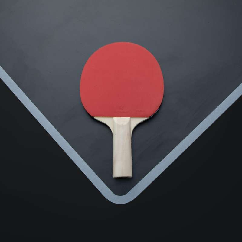 Timo Boll Black Masa Tenisi Raketi