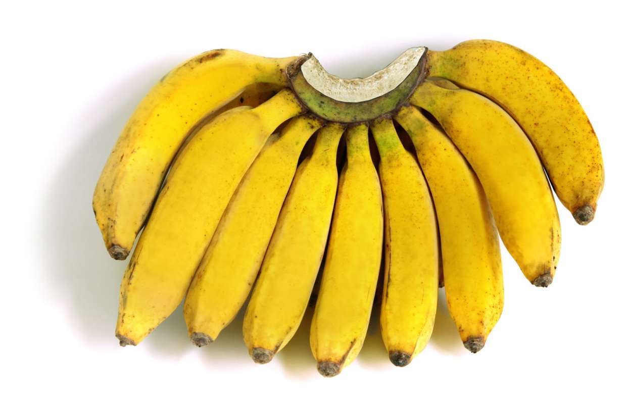 Jual Pisang Taja Cere Segar Dan Manis Pisang Raja Sereh Online November 2020 Blibli Com