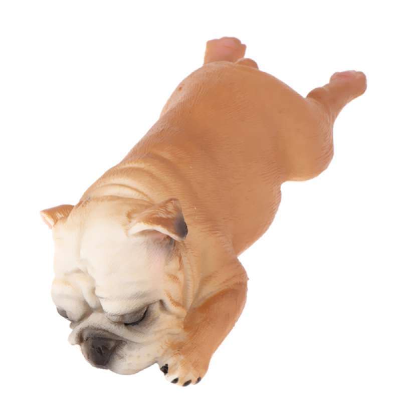 french bulldog lost and found