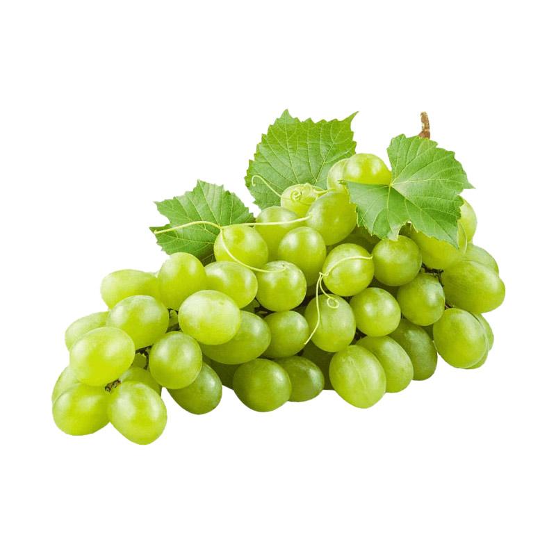 Jual Rezeki Fresh Market Buah Anggur Hijau Muscat [ 500 gr/ Pack ] di  Seller Rezeki Fresh Market Official Store - Kota Jakarta Pusat, DKI Jakarta  | Blibli