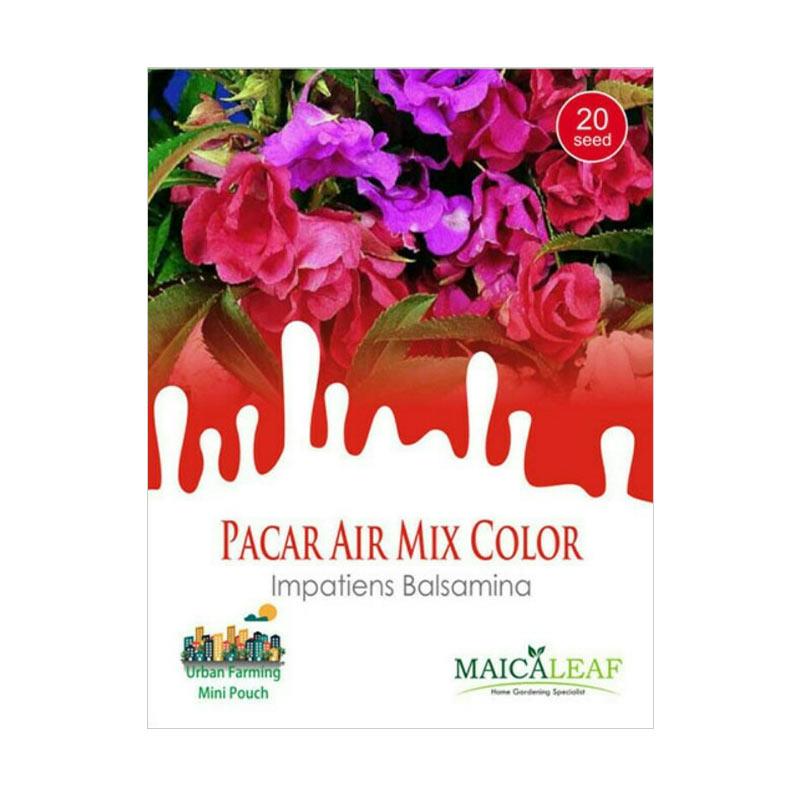 Jual Maica Leaf Bunga Pacar Air Mix Color 20 Benih Online Oktober 2020 Blibli Com