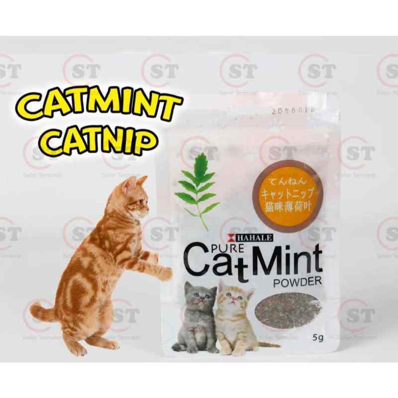 Catnip catmint cat mint - PURE CATMINT POWDER - BIKIN FLY KUCING Kumis  Kucing