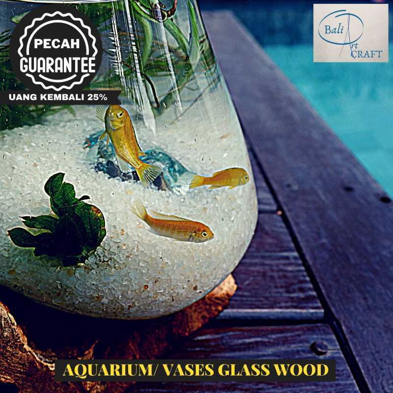 Jual Akuarium Ikan Cupang Mini Xl Kaca Tiup Akar Bali Aquascape Aquarium Unik Glasswood Wooden Craft Ikan Hias Ready Stock Pot Vas 15 Cm Online April 2021 Blibli