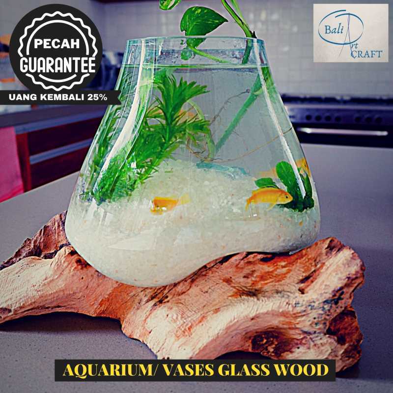 Jual Akuarium Ikan Cupang Mini Xxl Kaca Tiup Akar Bali Aquascape Aquarium Unik Glasswood Wooden Craft Ikan Hias Ready Stock Pot Vas Online Februari 2021 Blibli