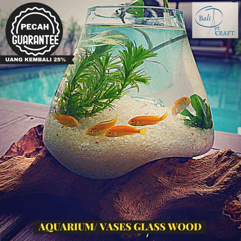 Jual Akuarium Ikan Cupang Mini Xxl Kaca Tiup Akar Bali Aquascape Aquarium Unik Glasswood Wooden Craft Ikan Hias Ready Stock Pot Vas Murah Juni 2021 Blibli