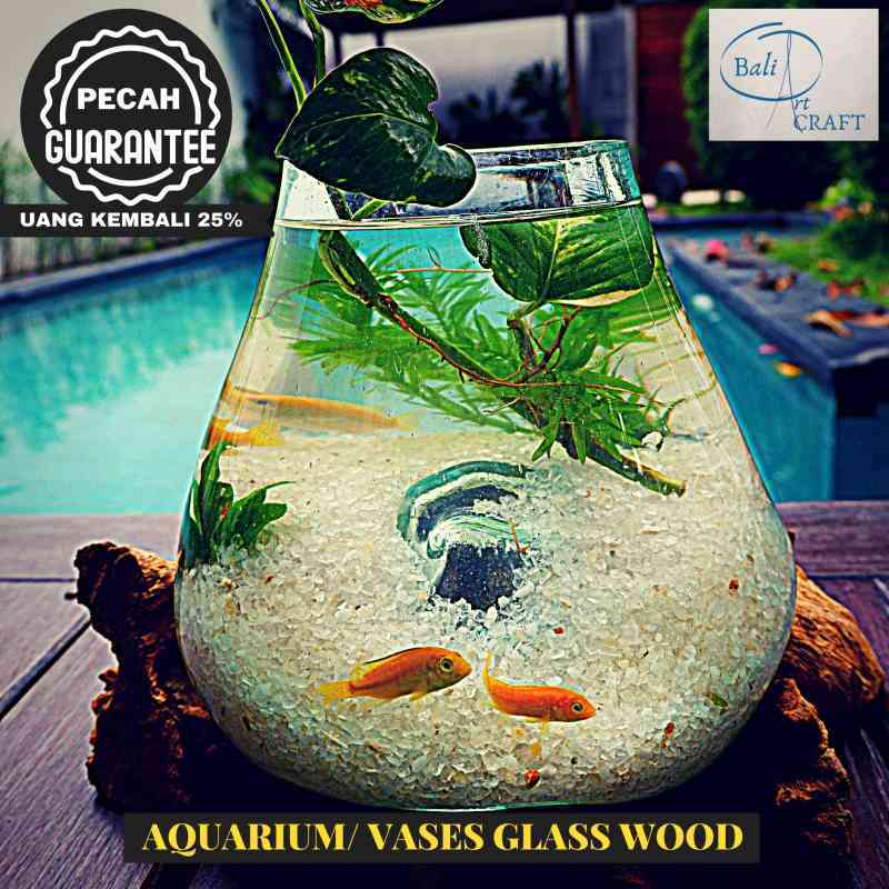 Jual Akuarium Ikan Cupang Mini Xxl Kaca Tiup Akar Bali Aquascape Aquarium Unik Glasswood Wooden Craft Ikan Hias Ready Stock Pot Vas Terbaru Juni 2021 Blibli