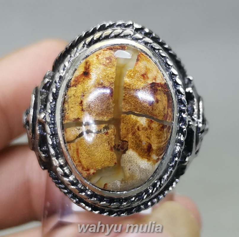 Promo Batu Akik Tapak Jalak Coklat Tembus Asli Kode 2303 di ...