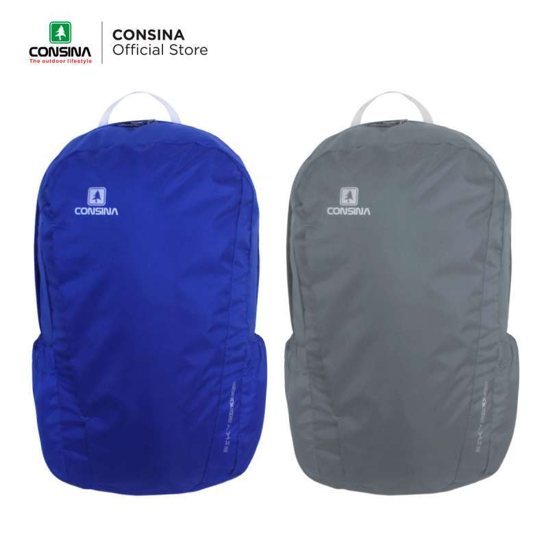 Dash 10l backpack sale