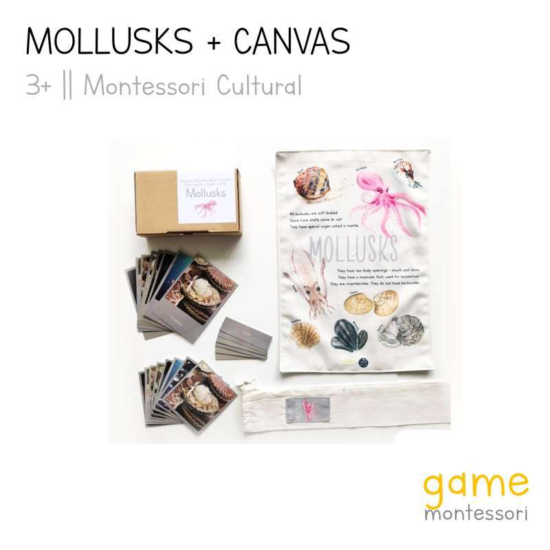 Promo Animal Classification (Mollusks 3PC+ canvas) Diskon 1% di Seller GAME  Montessori - GAME GADING SERPONG | Blibli