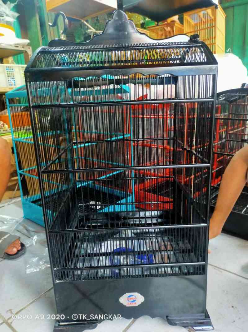 Jual Sangkar Kosan Kotak Merk Ebod Jaya Murah Mei 2021 Blibli