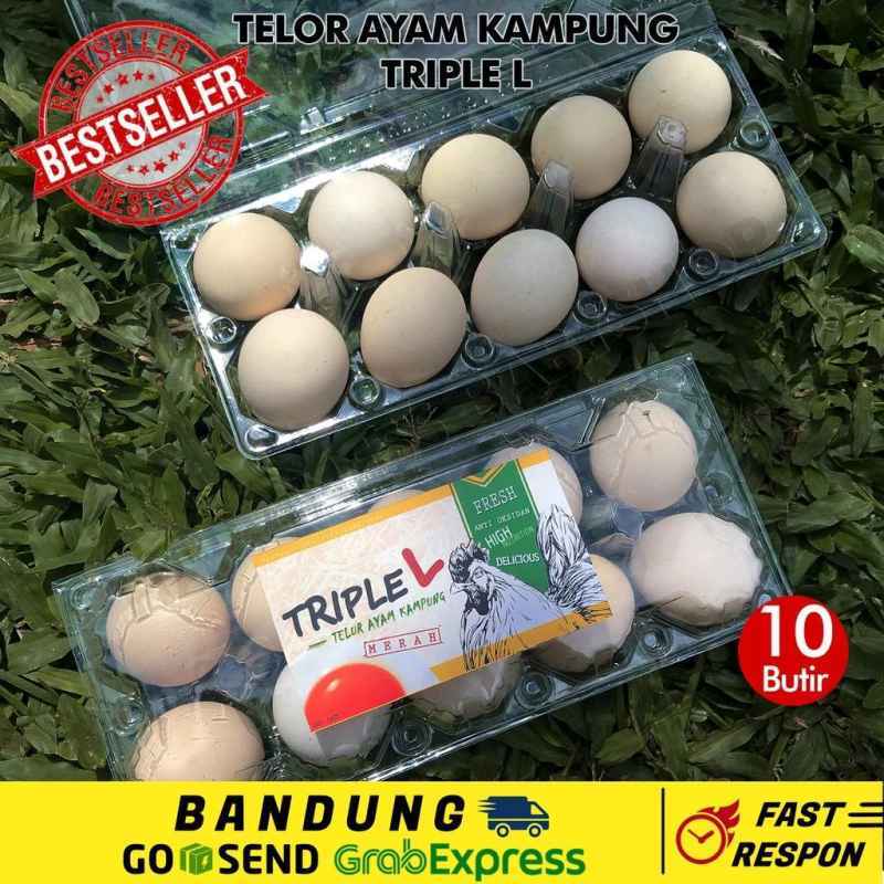 jual telur ayam arab
