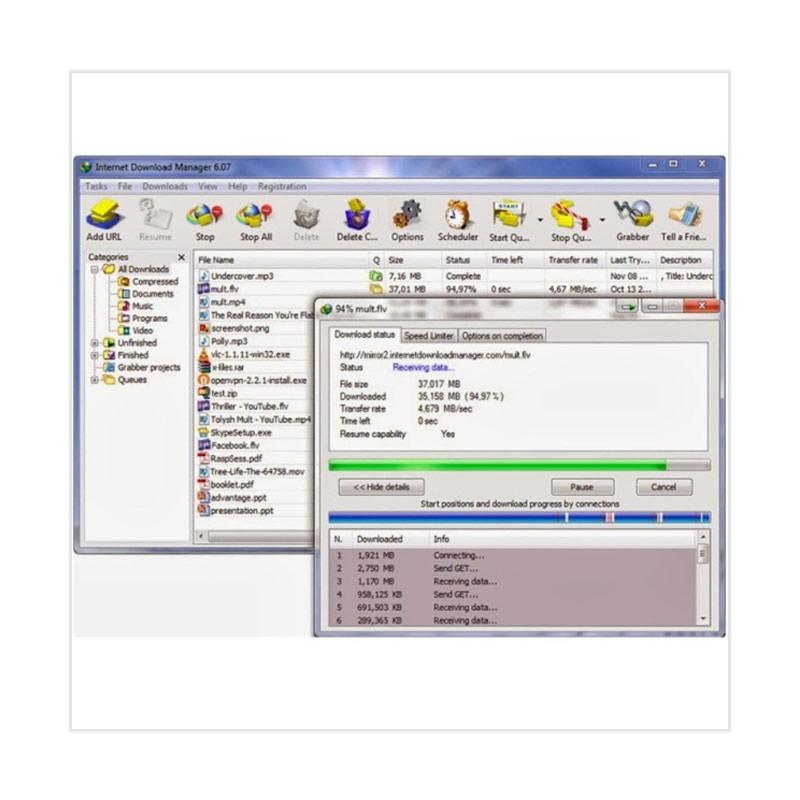 Jual Idm Original Internet Download Manager Software Life Time Online November 2020 Blibli
