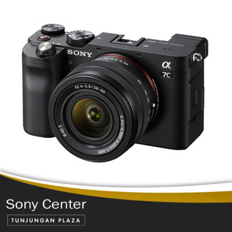 sony a7c megapixel