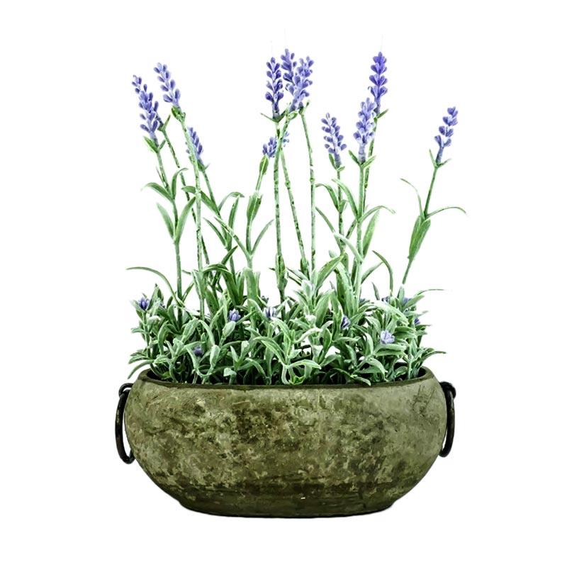 Jual Asna Dlp4258 Rangkaian Bunga Lavender Artifisial With Pot Online November 2020 Blibli Com