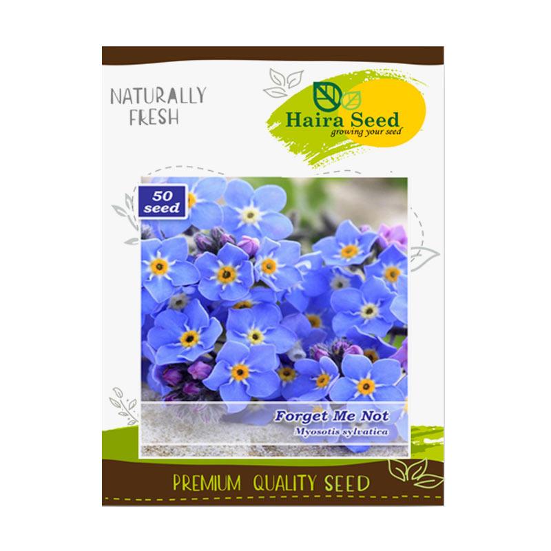 Haira Seed Benih Bibit Bunga Forget Me Not Tanaman Terbaru Agustus 2021 Harga Murah Kualitas Terjamin Blibli