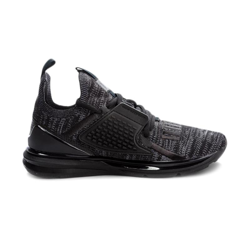 puma mens ignite limitless