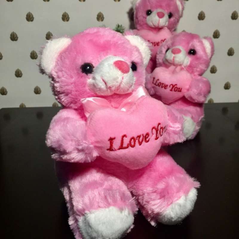 Jual Boneka Valentine Teddy Bear Love 