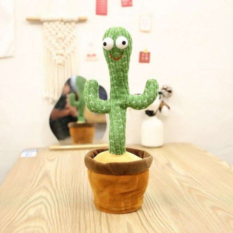 Promo Kaktus goyang Dancing Cactus 
