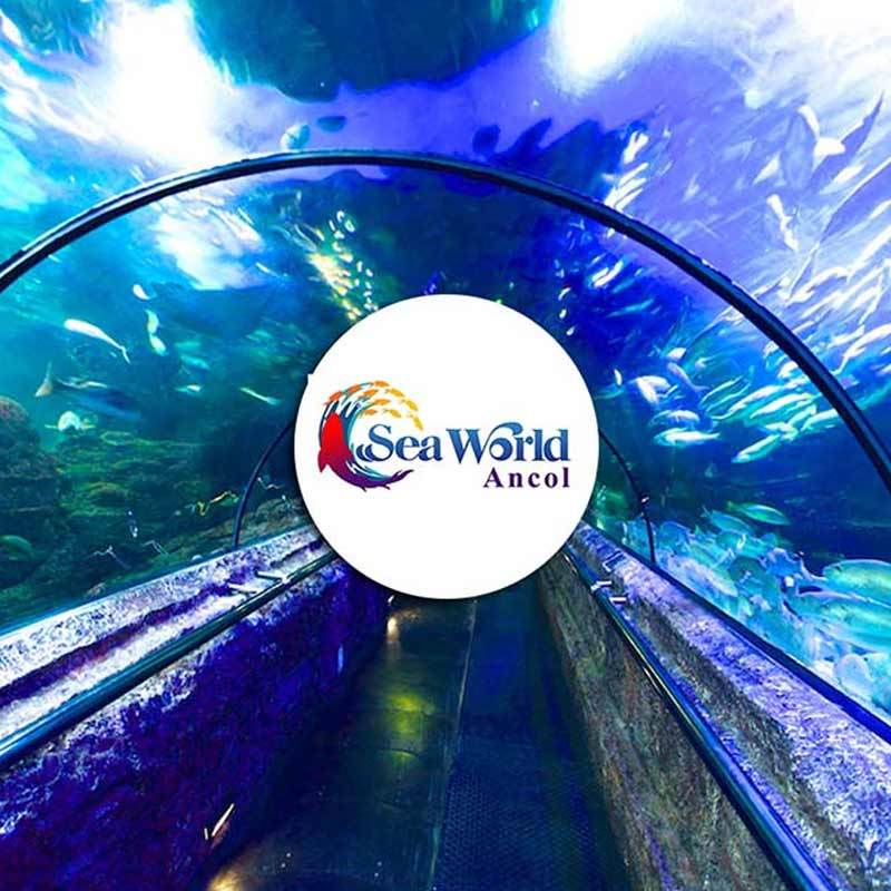 Jual Seaworld Promo Paket Ber 4 E Voucher Online Maret 2021 Blibli Today's top seaworld promo code: seaworld promo paket ber 4 e voucher
