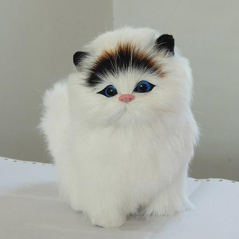 Jual Oem Kucing Boneka 30 Cm Online Oktober 2020 Blibli Com