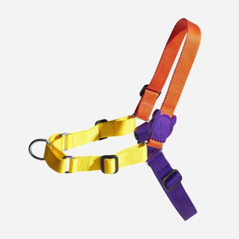 Jual ZEEDOG Tali Tuntun Anjing Soft 