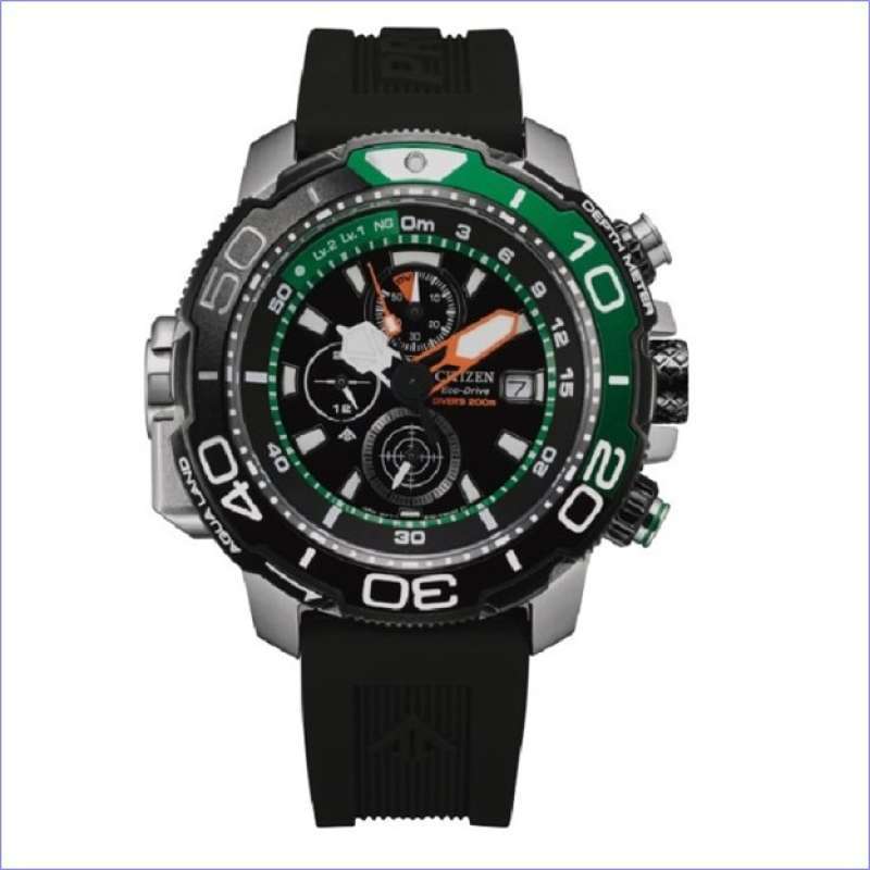 Harga citizen promaster discount