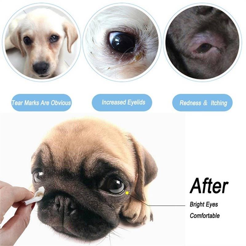 Jual Bbtime Pet Eye Wet Wipes Dog Cat Tear Stain Remover Pads Eyes