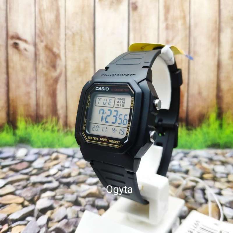 Casio G-Shock W800HG-9A