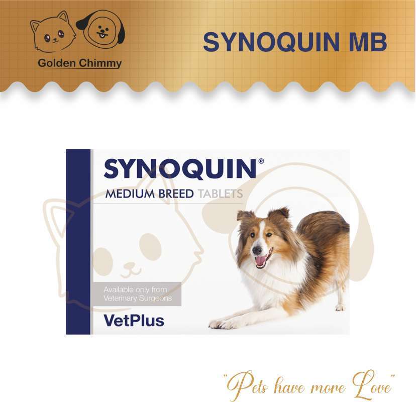 Synoquin medium new arrivals