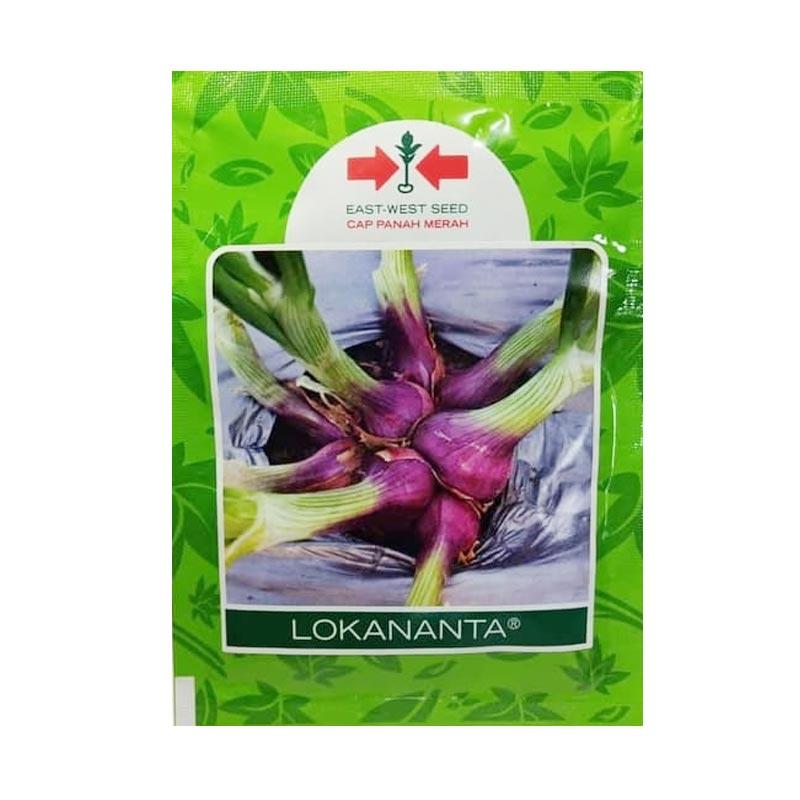 Jual Panah Merah Lokananta Bawang Merah Benih 500 Gram Online