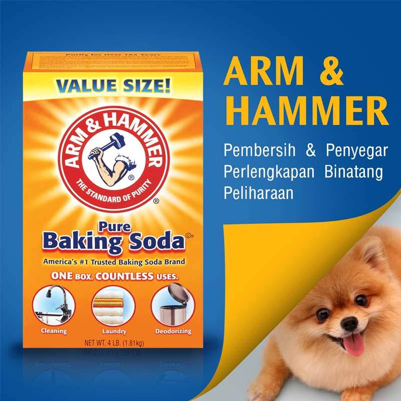 Jual Arm Hammer Multi Purpose Baking Soda Asli Usa 1 8 Kg Online Desember 2020 Blibli