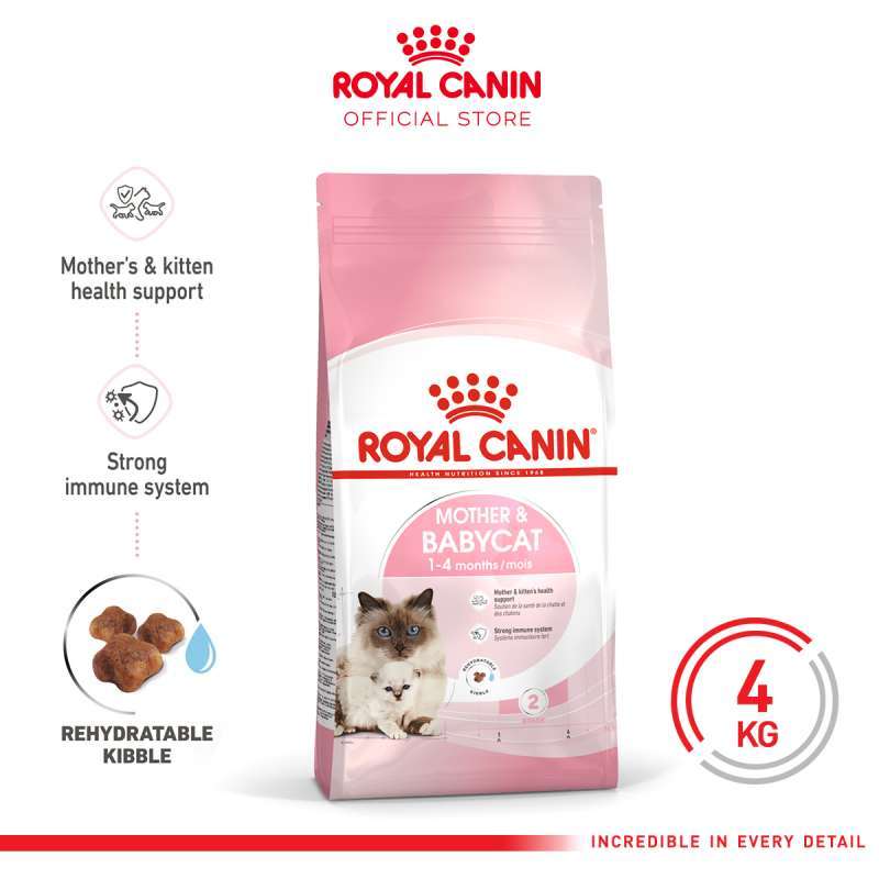 Royal canin hot sale babycat 4kg
