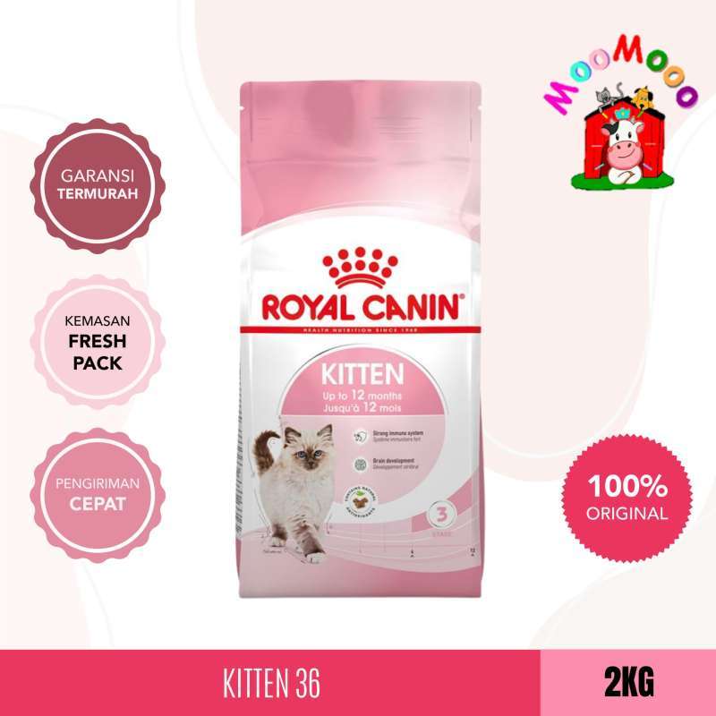 Royal Canin Kitten Harga Terbaru Maret 2024 Blibli
