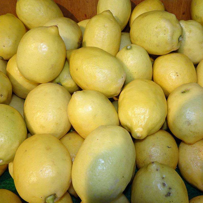 Jual Warung Paima Jeruk Lemon 1 Kg Online Oktober 2020 Blibli Com