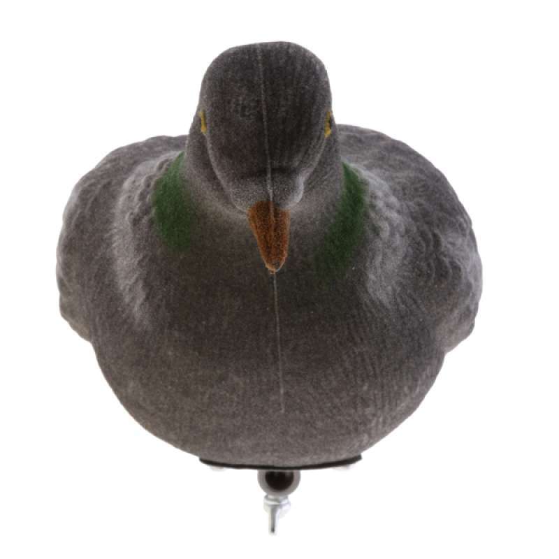 Jual Realistic Flying Pigeon With Rotary Wings Full Body Decoy Hunting Shooting Online September 2020 Blibli Com