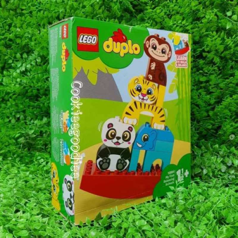 Lego clearance duplo 10884