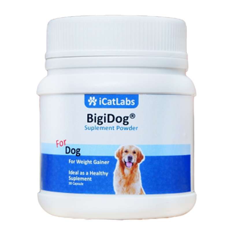 Jual Bigidog Penambah Berat Badan Anjing Suplemen Anjing Vitamin Anjing Dog Food Makanan Anjing Obat Anjing Penggemuk Anjing 1 Botol 30 Kapsul Online Januari 2021 Blibli