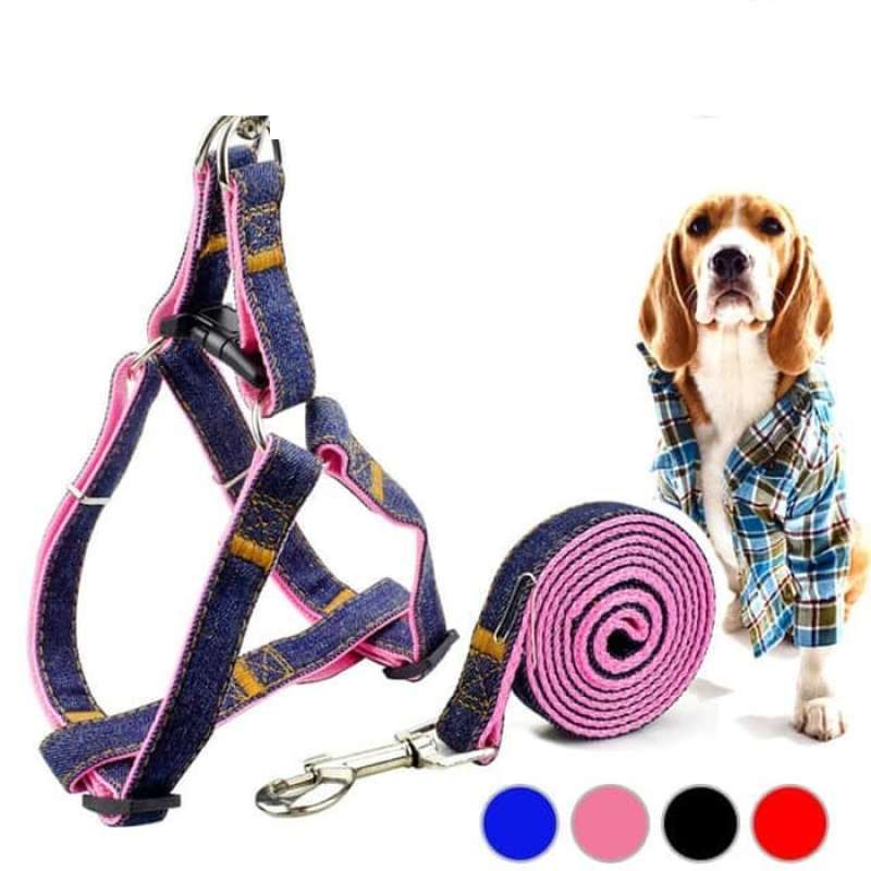dog leash online