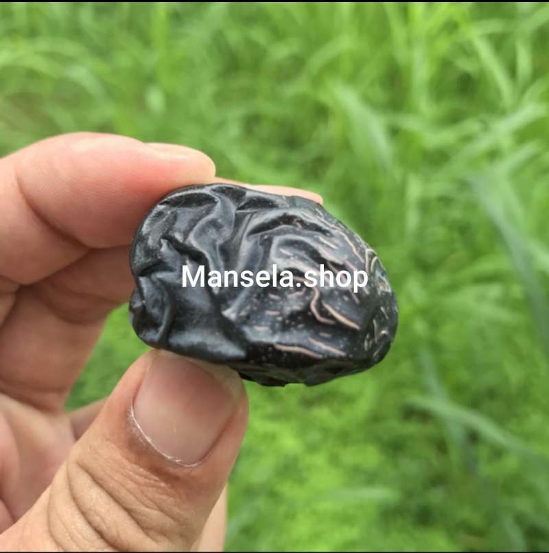 Jual Kurma Barari Ajwa 5kg Murah Mei 2021 Jual Kurma Barari Ajwa 5kg Murah Mei 2021