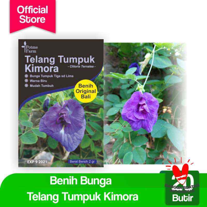 Jual Benih Bunga Telang Biru Tumpuk Kimora Potme Farm Terbaru Juni 2021 Blibli